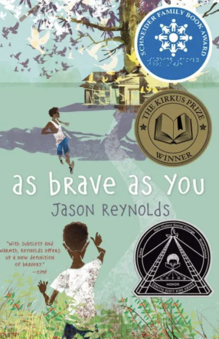 As Brave As You book cover